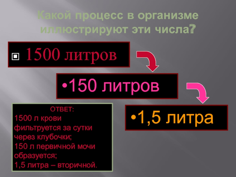 Какой процесс в общественном развитии иллюстрируют эти факты радио компьютер интернет