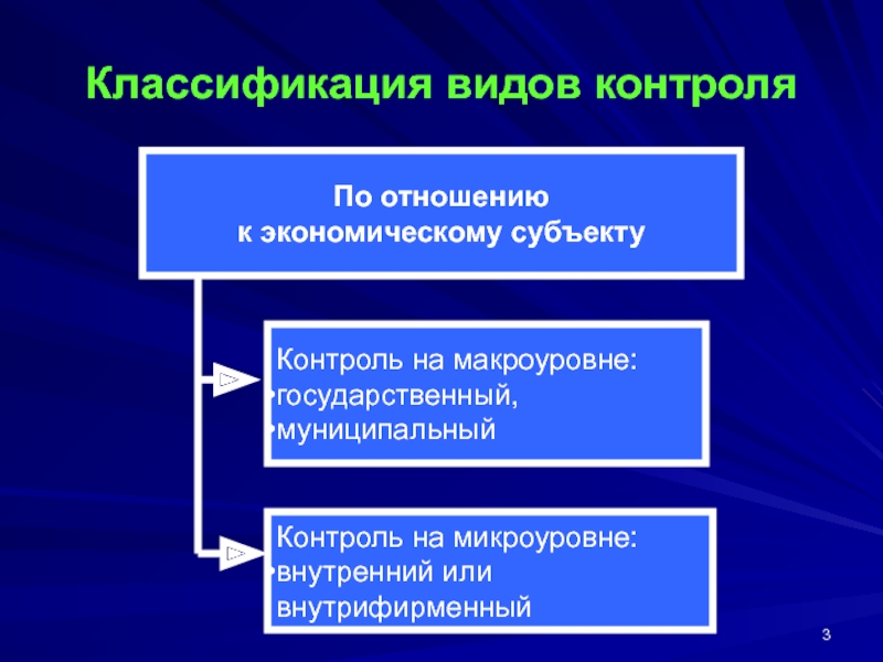 Реферат: Место аудита в системе финансового контроля РФ