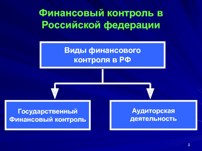 Реферат: Место аудита в системе финансового контроля РФ