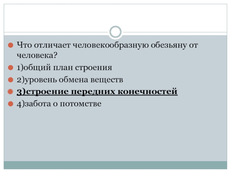 Что отличает человекообразную обезьяну от человека общий план строения уровень обмена веществ