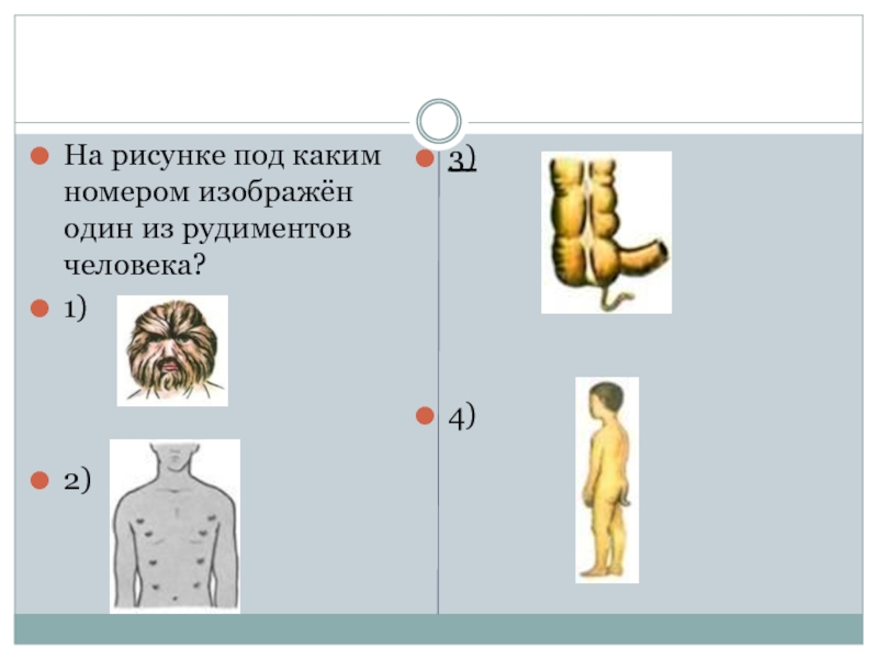 Что изображено на рисунке под номером 3