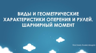 Виды и геометрические характеристики оперения и рулей. Шарнирный момент