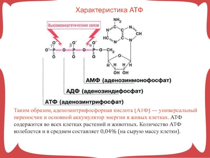 Атф накапливается. Строение АТФ И АДФ. Строение АТФ типы химических связей. Строение АТФ химия. Химическая структура АТФ.