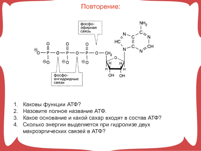 Атф какие связи. Типы связей в АТФ. Типы связей в молекуле АТФ. Строение АТФ макроэргические связи. АТФ формула структурная.