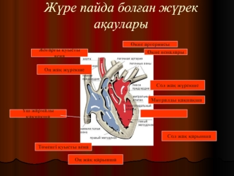 Жүре пайда болған жүрек ақаулары