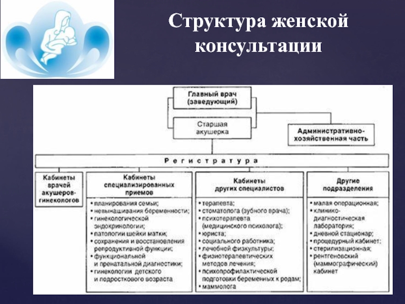 Основные задачи структура. Примерная организационная структура женской консультации. Организационная структура женской консультации схема. Структура и организация работы женской консультации. Структура женской консультации таблица.