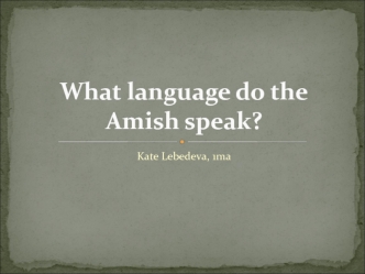 What language do the Amish speak