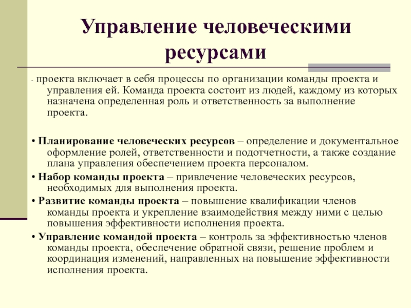 Управление командой проекта реферат