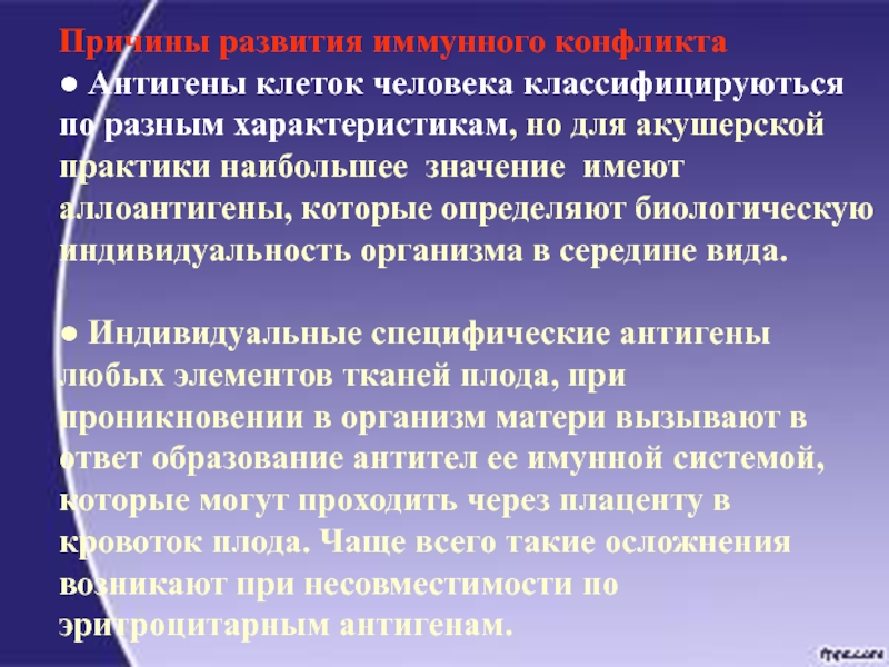 Каждый человек обладает биологической социальной индивидуальностью