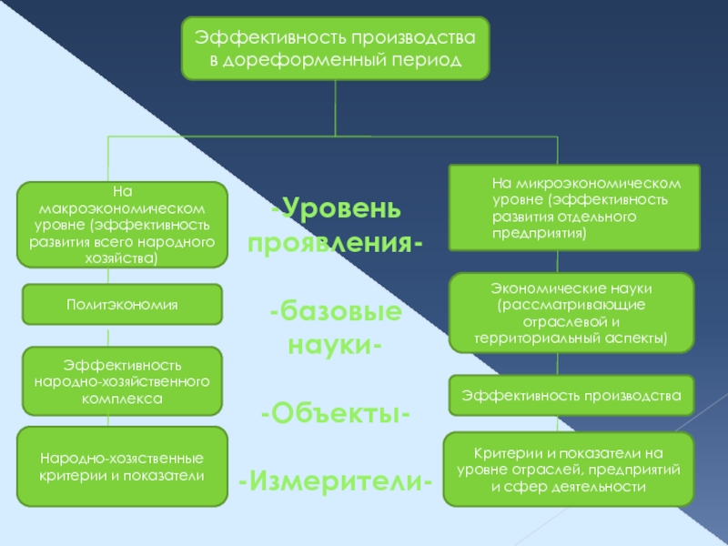 Уровни хозяйства. Уровни проявления капитала. Дореформенный период. Дореформенный этап.