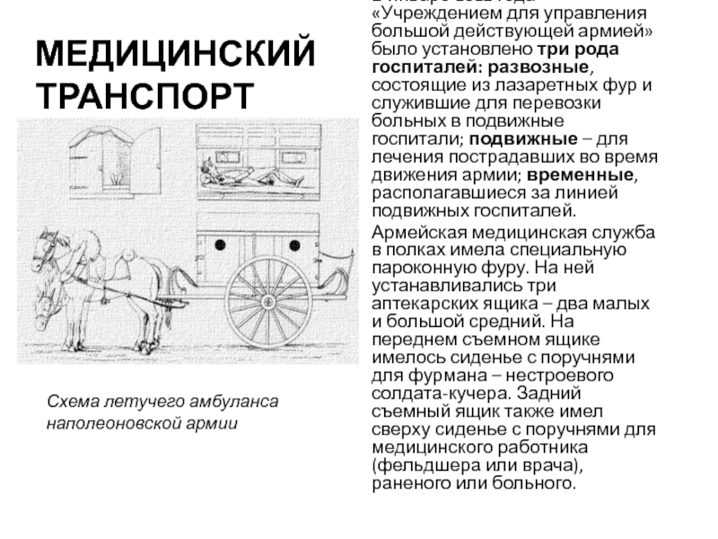 Реферат: Медицинская служба русской армии в Отечественную войну 1812г.