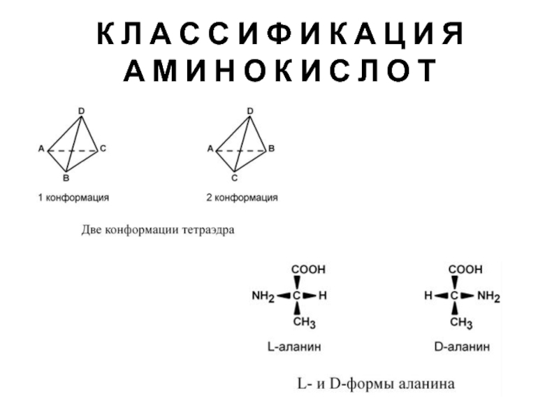 Классификация аминов схема