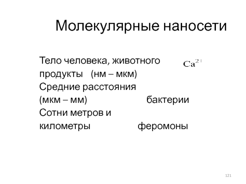 Продукт н м