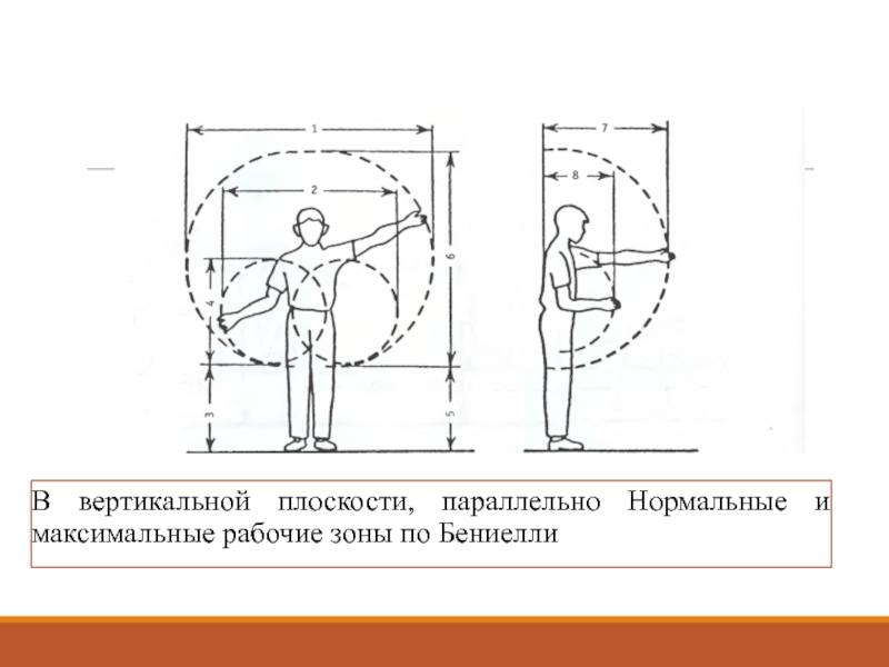 Вертикальная плоскость. Рабочие зоны в вертикальной плоскости. Нормальная и максимальная рабочая зона. Нормальная рабочая зона в горизонтальной плоскости.