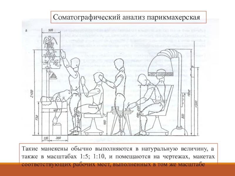 Эргономические схемы музея