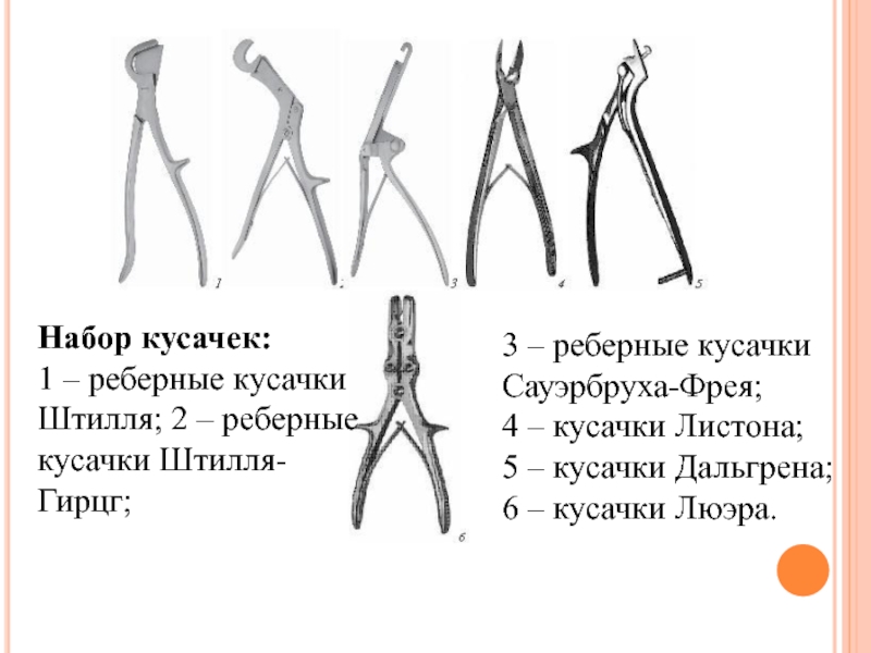 Кусачки дуайена фото