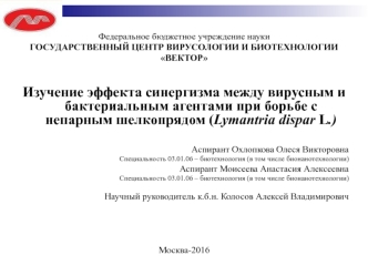 Изучение эффекта синергизма между вирусным и бактериальным агентами при борьбе с непарным шелкопрядом