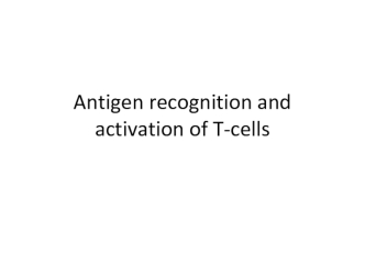 Antigen recognition and activation of T-cells