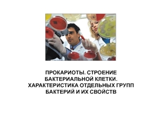 Лекция 3. Прокариоты. Строение бактериальной клетки. Характеристика отдельных групп бактерий и их свойств