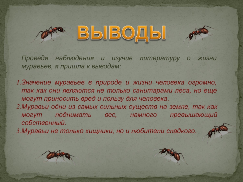 Наука изучающая муравьев. + И - муравьёв в природе и жизни человека. Информация о жизни муравьёв. Рассказ о жизни муравьев. Значение муравьев в природе.