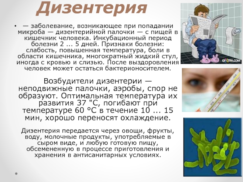 Дизентерия это. Заболевание дизентерия. Дизентерия вызывается. Дизентерия периоды. Дизентерия сроки заболевания.