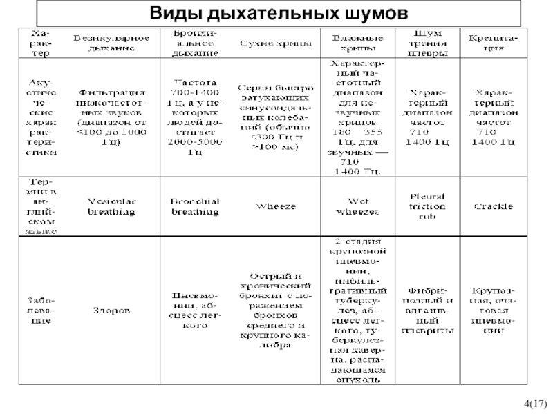 Виды дыхания при аускультации легких схема