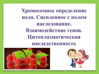 Хромосомное определение пола. Сцепленное с полом наследование. Взаимодействие генов. Цитоплазматическая наследственность