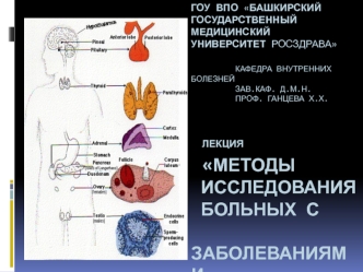 Методы исследования больных с заболеваниями эндокринной системы