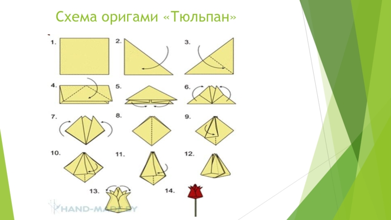 Схема оригами «Тюльпан»