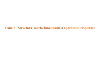 Structura morfo-funcțională a aparatului respirator