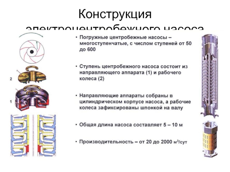 Электроцентробежный насос презентация