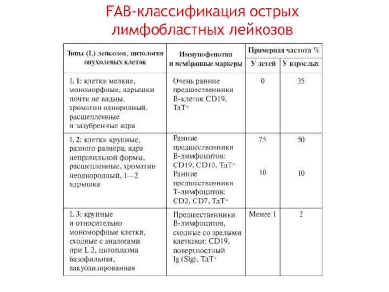 Острые лимфобластные лейкозы тест нмо. Fab классификация острых лимфобластных лейкозов. Фаб классификация острых лейкозов. Классификация острого лимфобластного лейкоза. Острый лимфобластный лейкоз классификация.