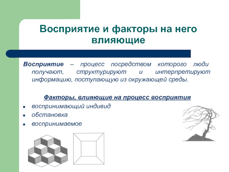 Восприятие и факторы на него влияющие Восприятие – процесс посредством которого люди