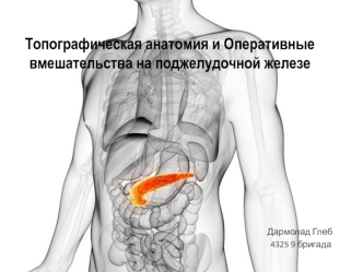 Топографическая анатомия и оперативные вмешательства на поджелудочной железе