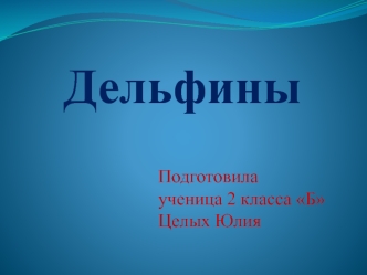 Дельфины. Общие сведения о дельфинах