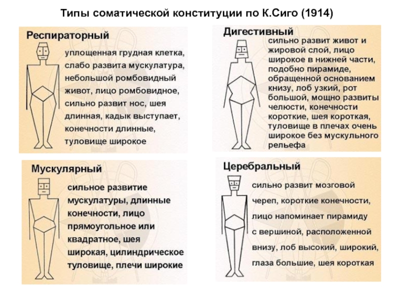 Типа короче. Классификация конституциональных типов по сиго. Типы телосложения по сиго. Типы телосложения Клод сиго. Типы соматической Конституции.