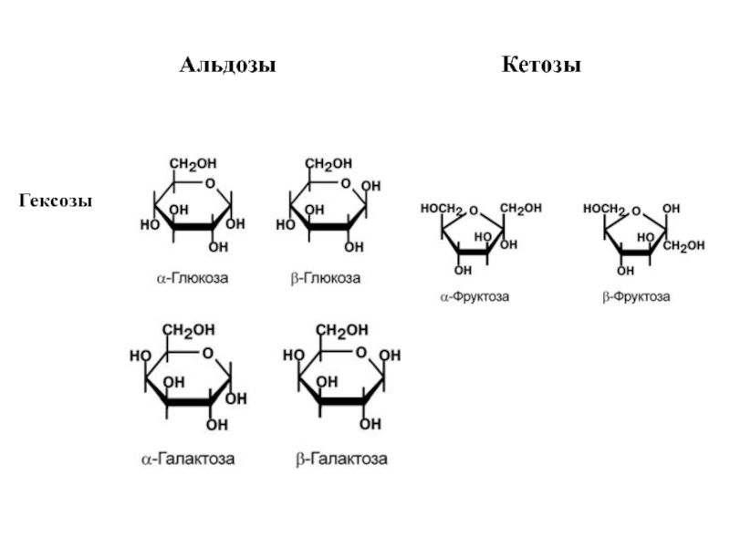 Гексоза это. Классификация моносахаридов альдозы и кетозы. Альдоза гексоза. Альдозы и кетозы представители. Формулы углеводов гексоза.
