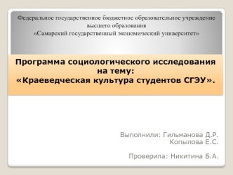 Gilmanova_otchet (1)