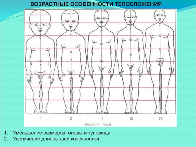 Модель изображения в уменьшенном масштабе это