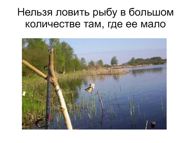Почему нельзя ловить рыбу. Нельзя ловить рыбу. Ловить рыбу запрещено. Где нельзя рыбачить. Нельзя ловить сетями.