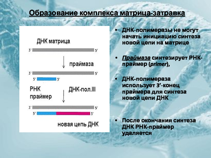 Служит матрицей для синтеза