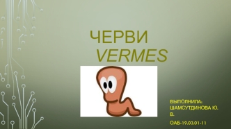 Черви vermes