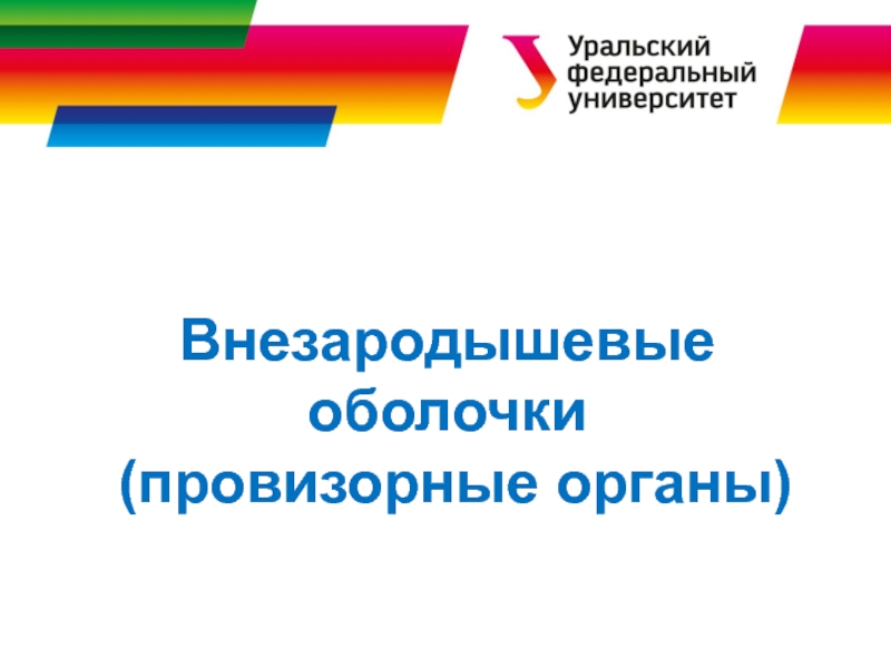 Внезародышевые органы презентация