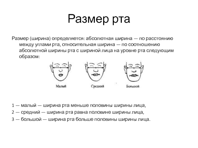 Описание словесный портрет человека