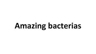 Amazing bacterias