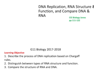 DNA Replication, RNA Structure & Function, and Compare DNA & RNA