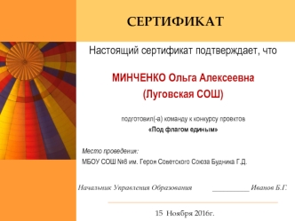 Сертификаты о подготовке к конкурсу проектов Под флагом единым