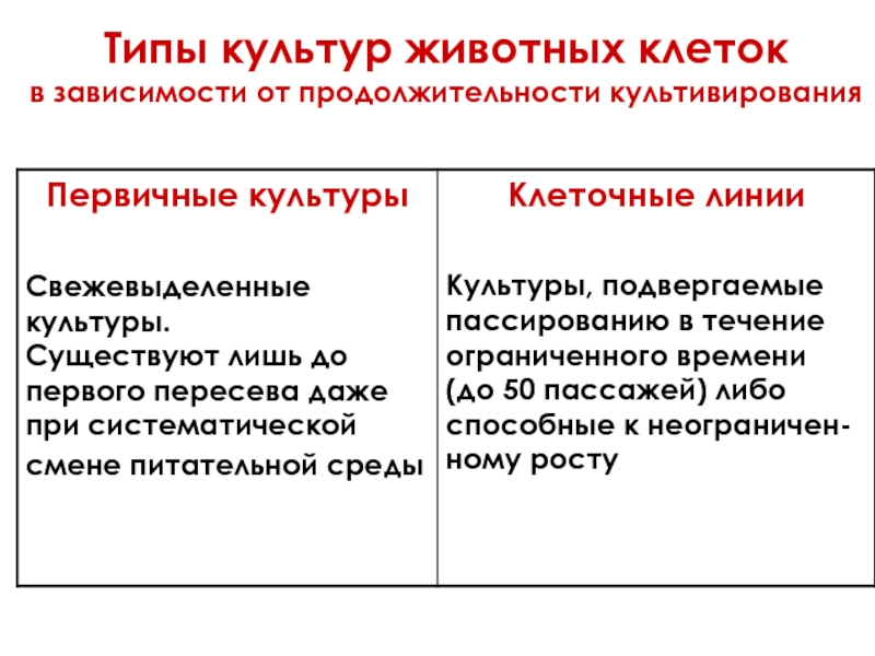 Культура животных. Виды культур клеток. Первичные культуры клеток животных. Первичные культуры. Первично трипсинизированные культуры клеток это.