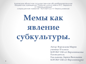 Мемы как явление субкультуры