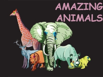 Amazing animals